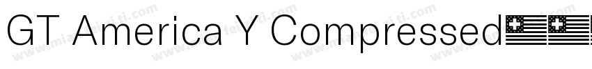 GT America Y Compressed字体转换